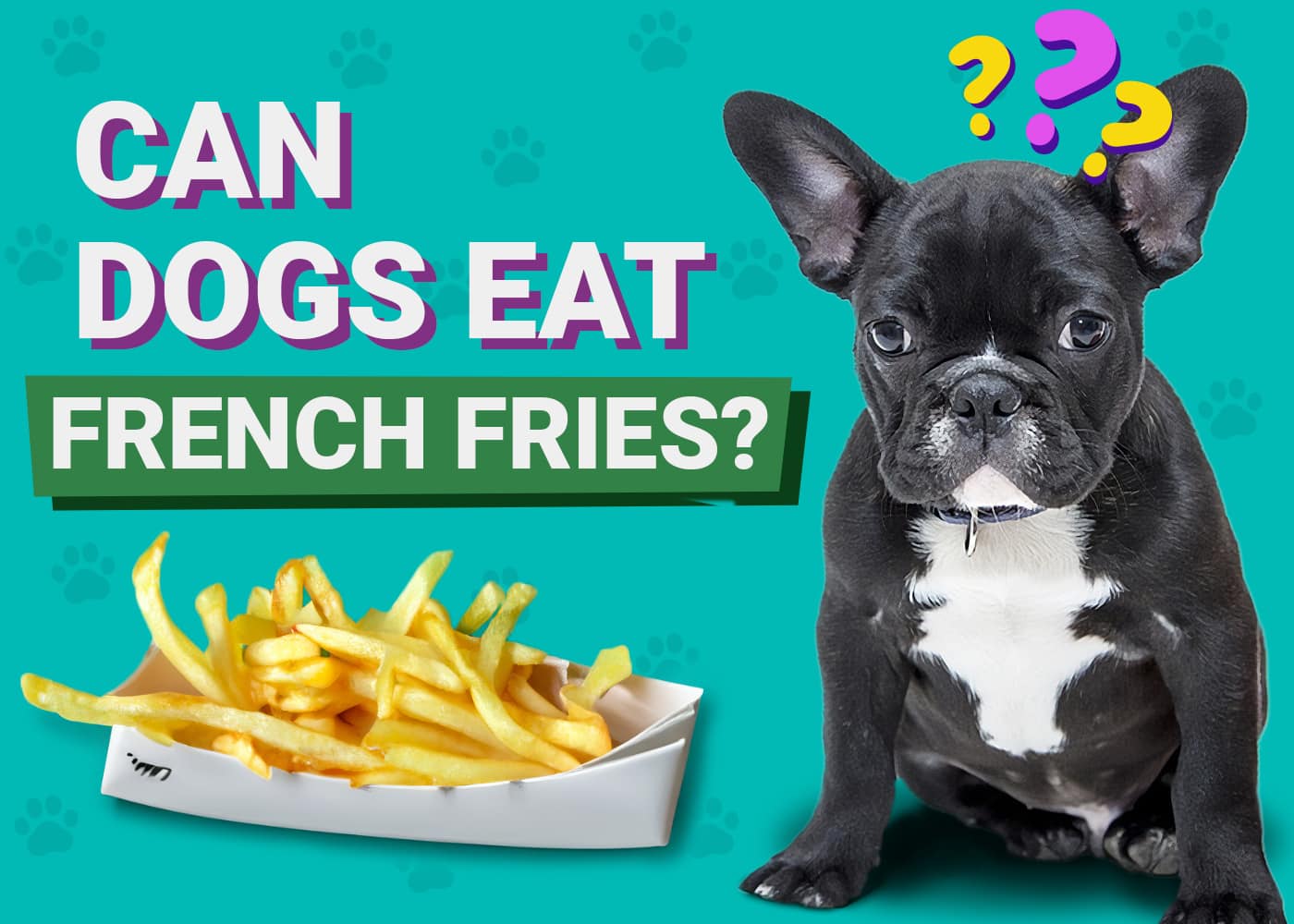 Can Dogs Eat French Fries