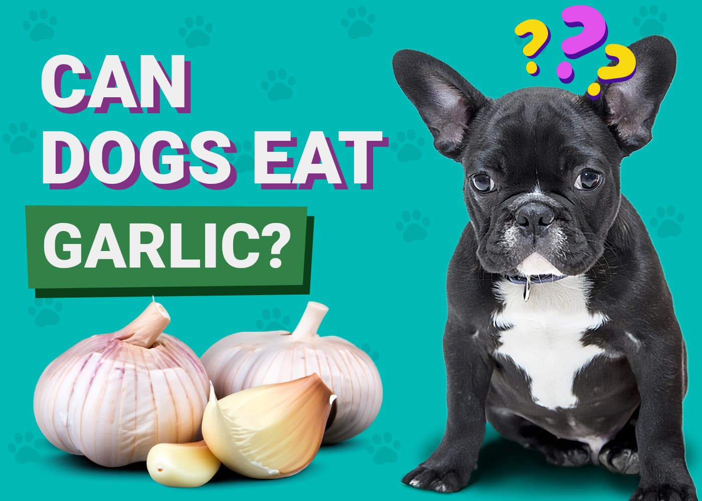 Can Dogs Eat Garlic