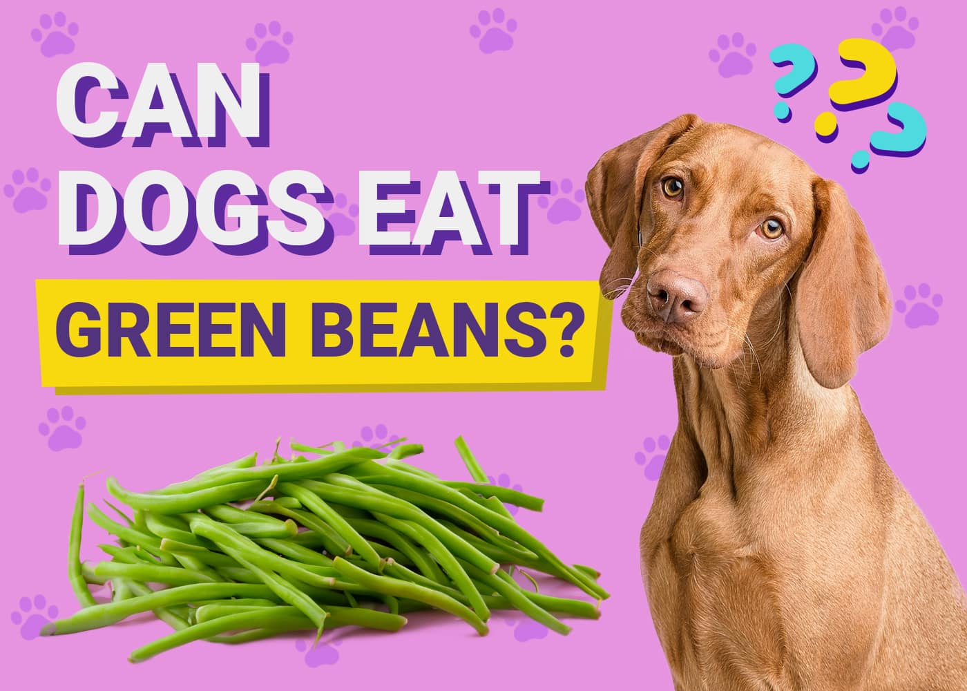 Can Dogs Eat Green Beans