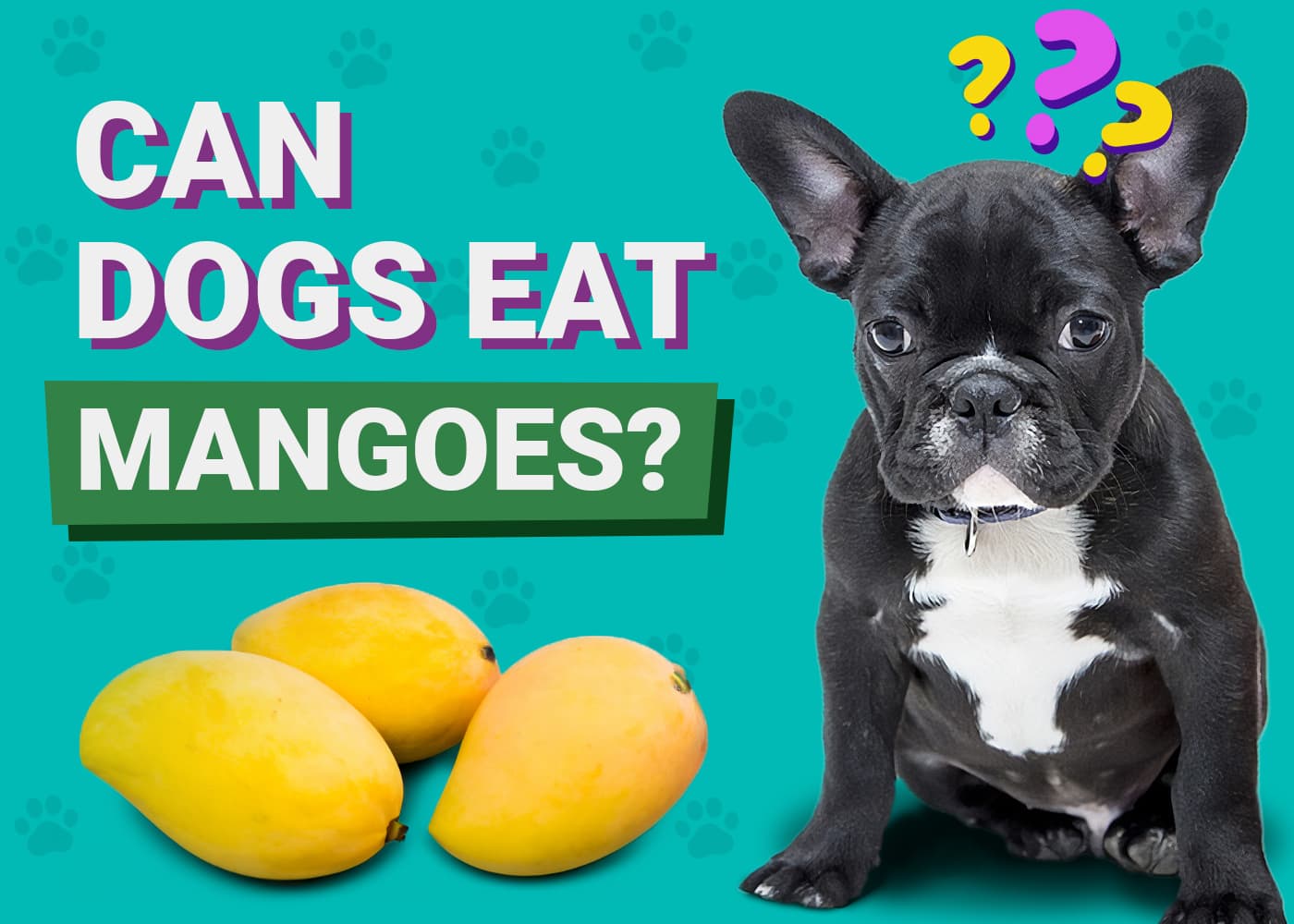 Can Dogs Eat Mangos