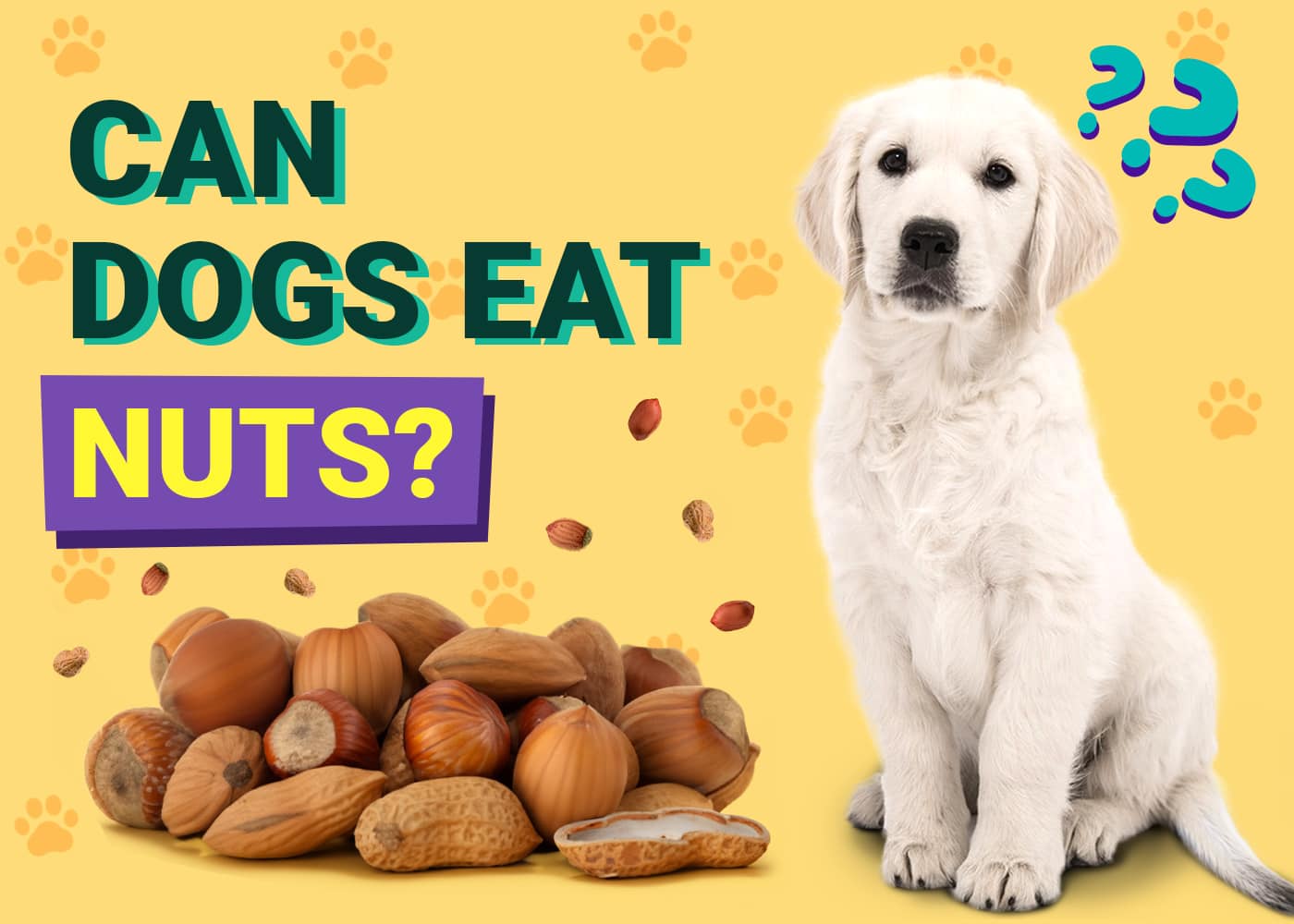 Can Dogs Eat Nuts