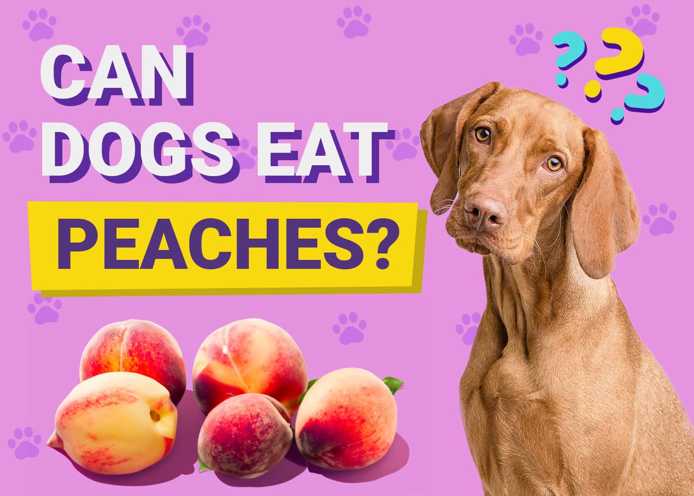 Can Dogs Eat Peaches