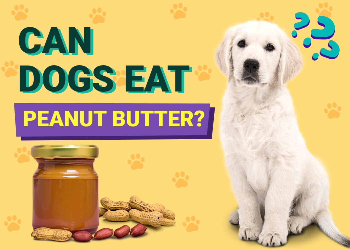 Can Dogs Eat Peanut Butter