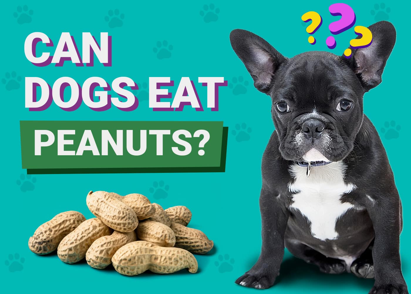 Can Dogs Eat Peanuts