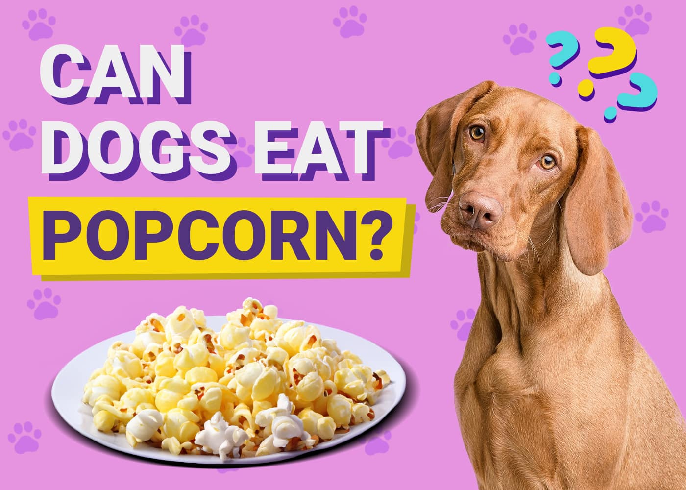 Can Dogs Eat Popcorn