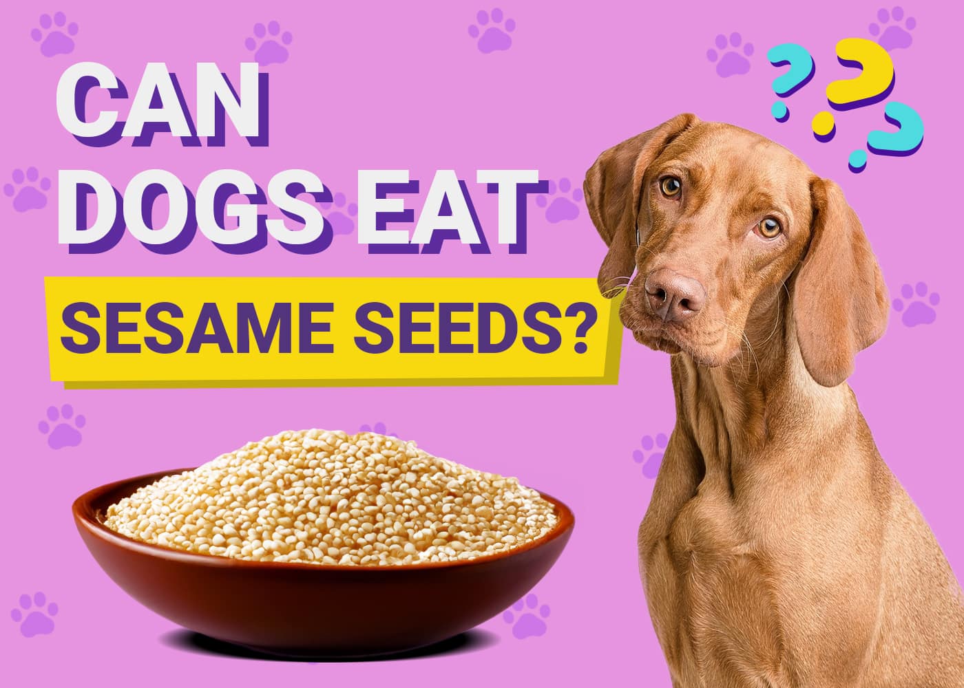 Can Dogs Eat Sesame Seeds