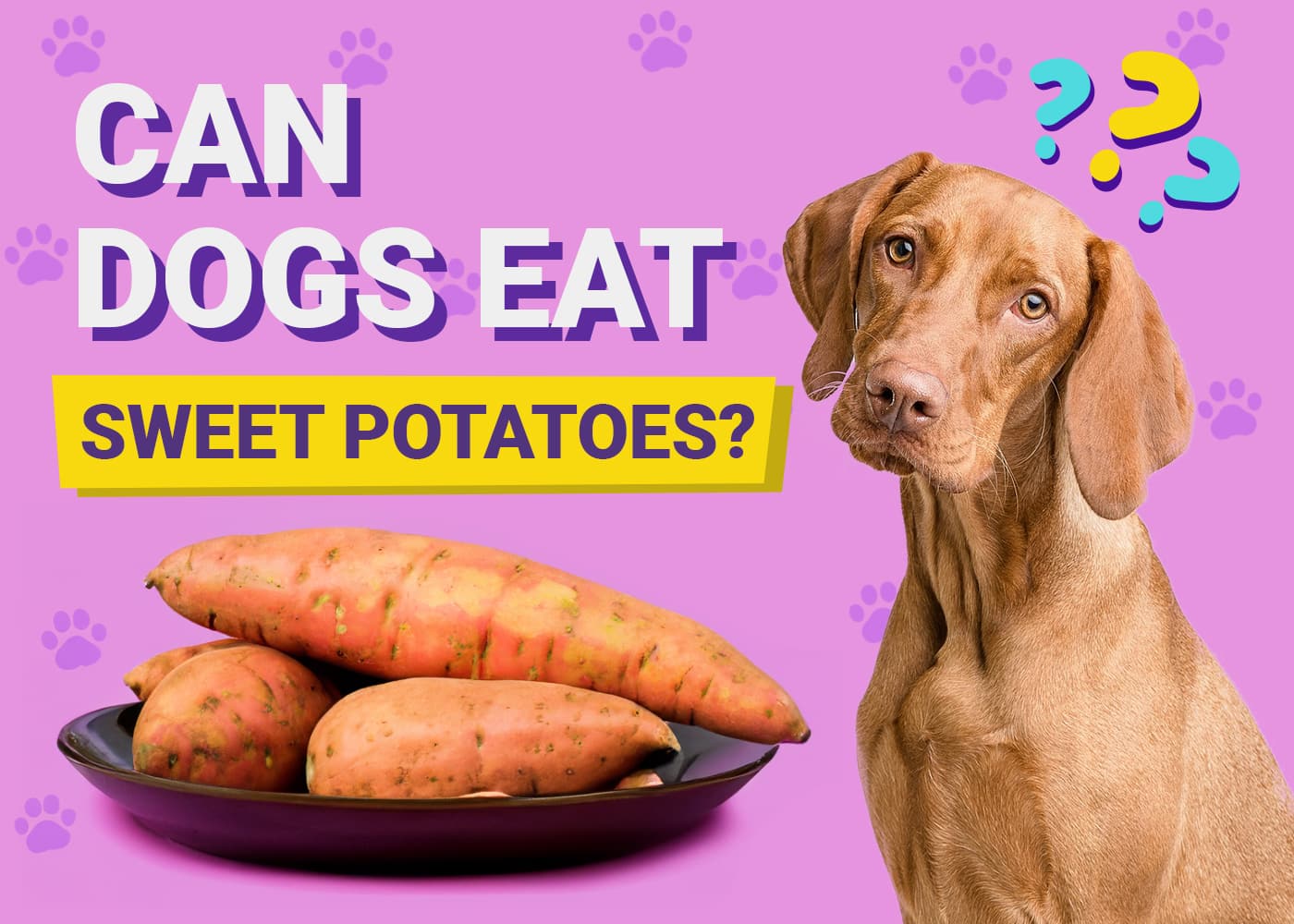 Can Dogs Eat Sweet Potatoes