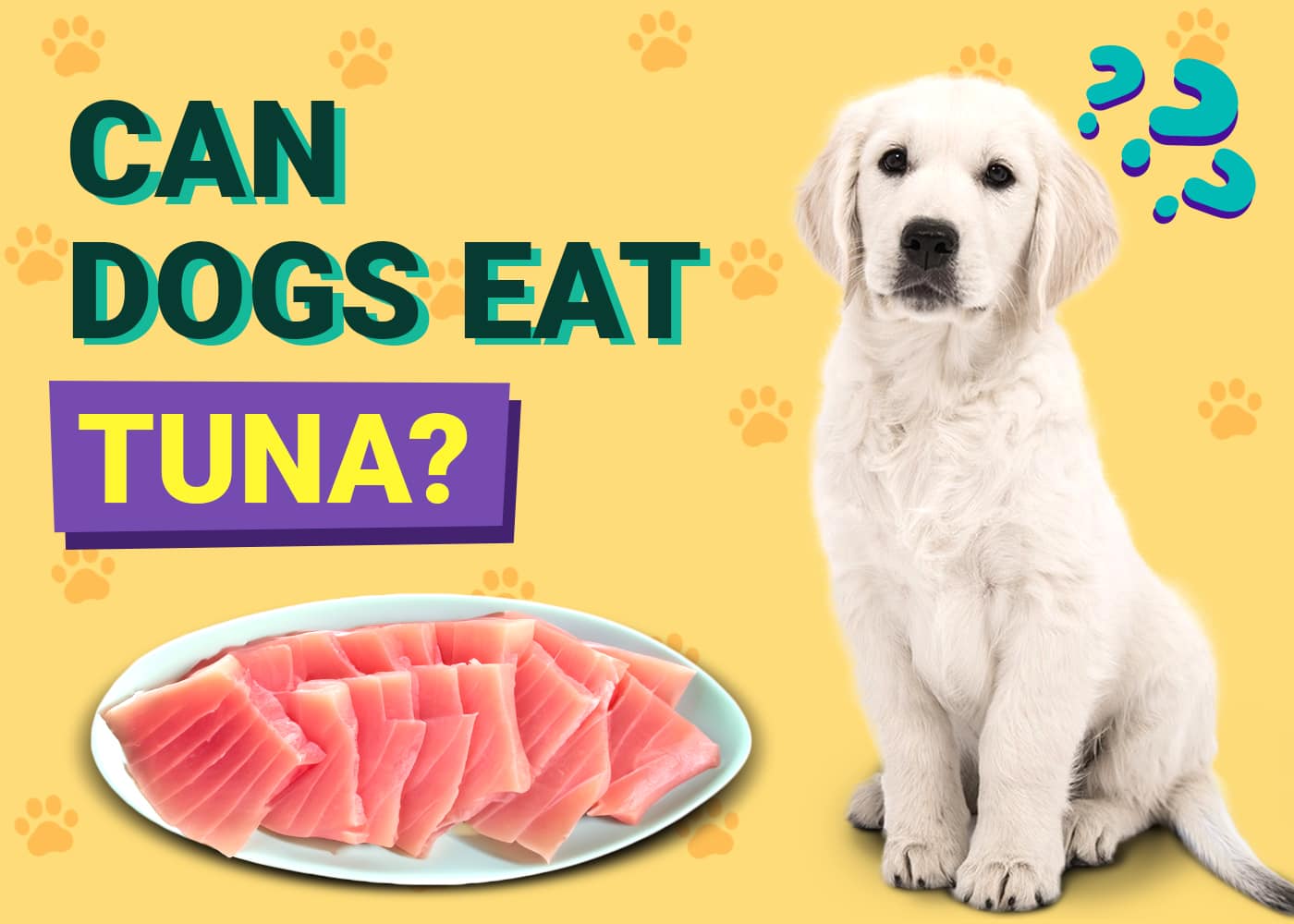 Can Dogs Eat Tuna