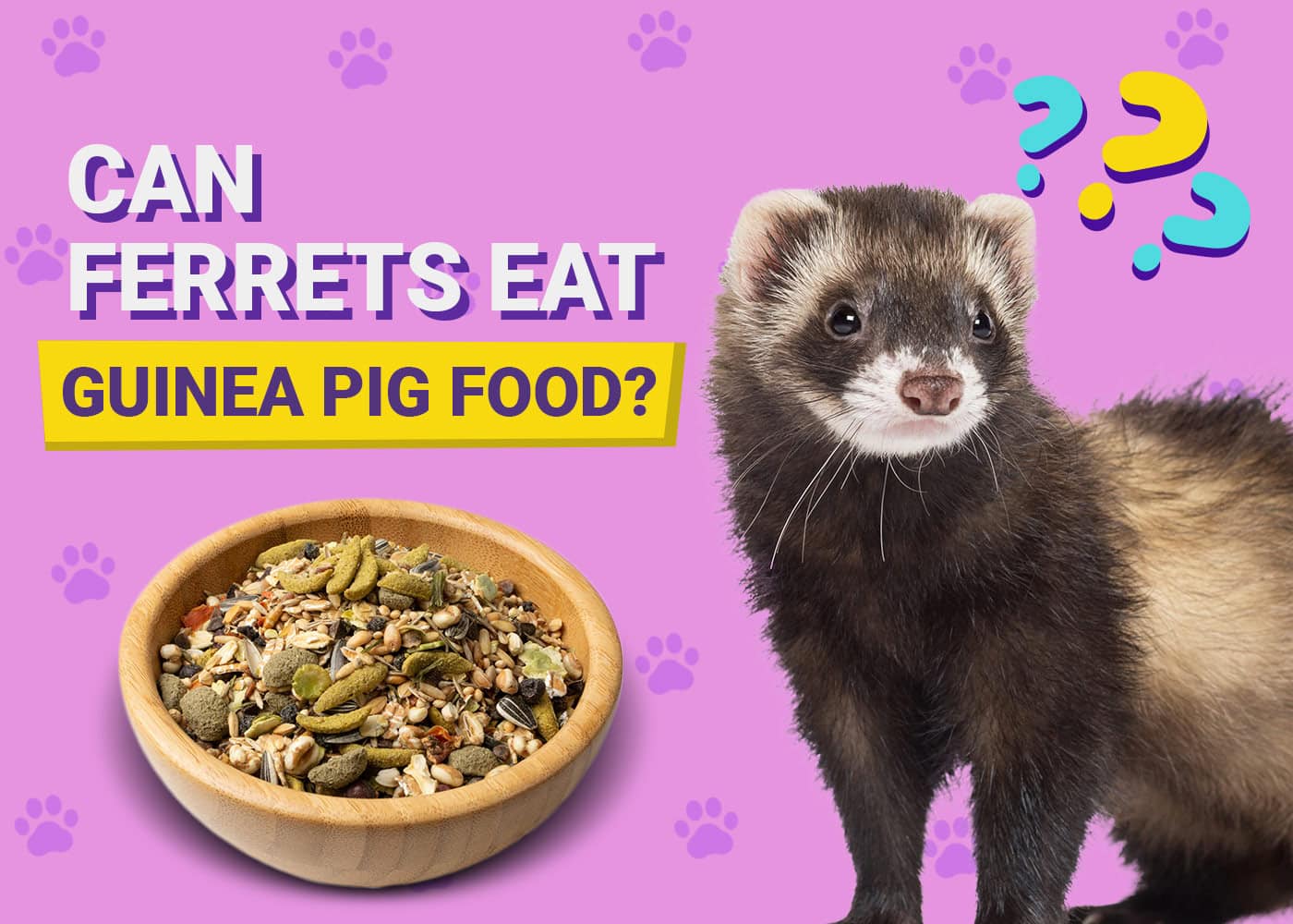 Can Ferrets Eat Guinea Pig Food