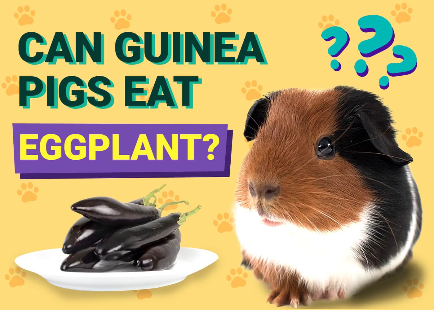 Can Guinea Pigs Eat Eggplant