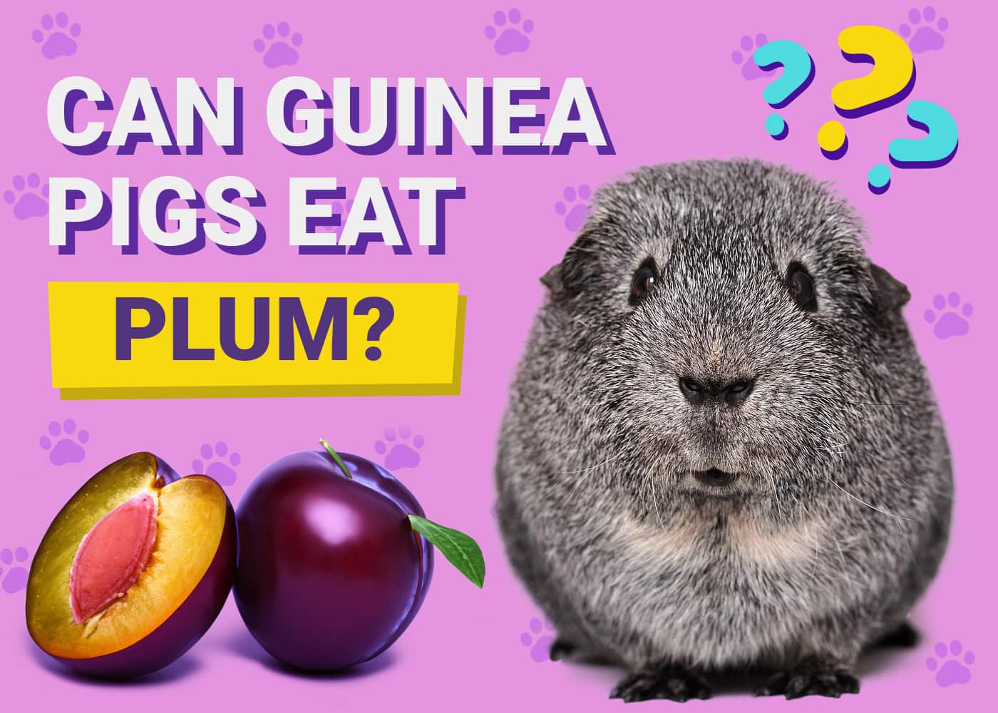 Can Guinea Pigs Eat Plums