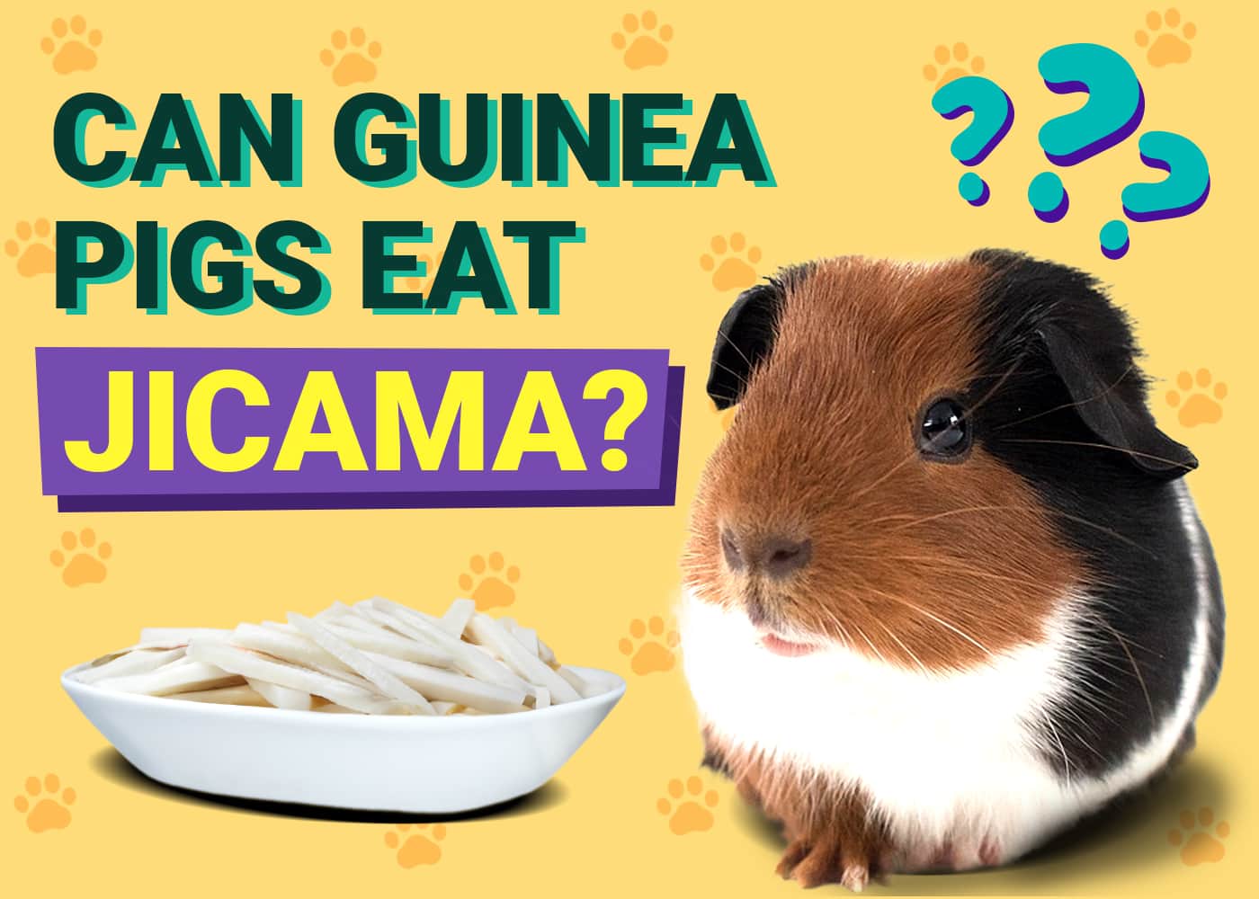 Can Guinea Pigs Eat Jicama