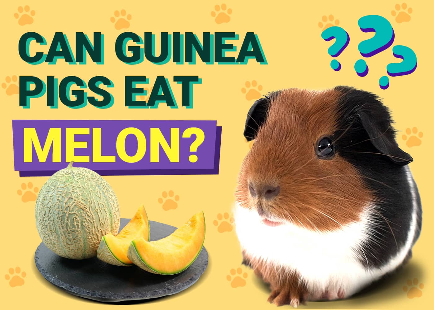 Can Guinea Pigs Eat Melon