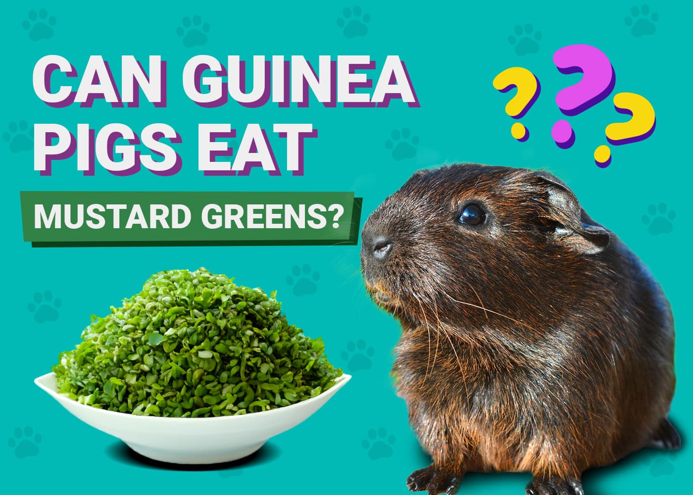 Can Guinea Pigs Eat Mustard Greens