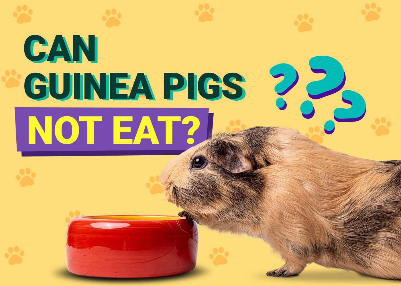 What Can’t Guinea Pigs Eat