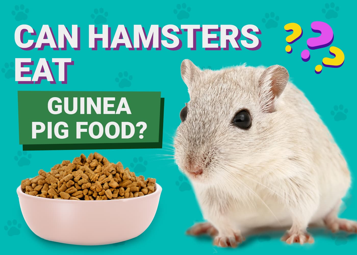 Can Hamsters Eat Guinea Pig Food