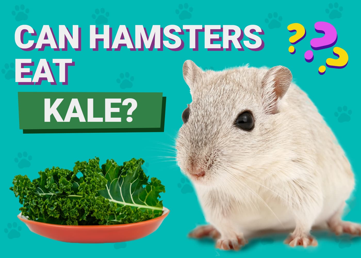 Can Hamsters Eat Kale