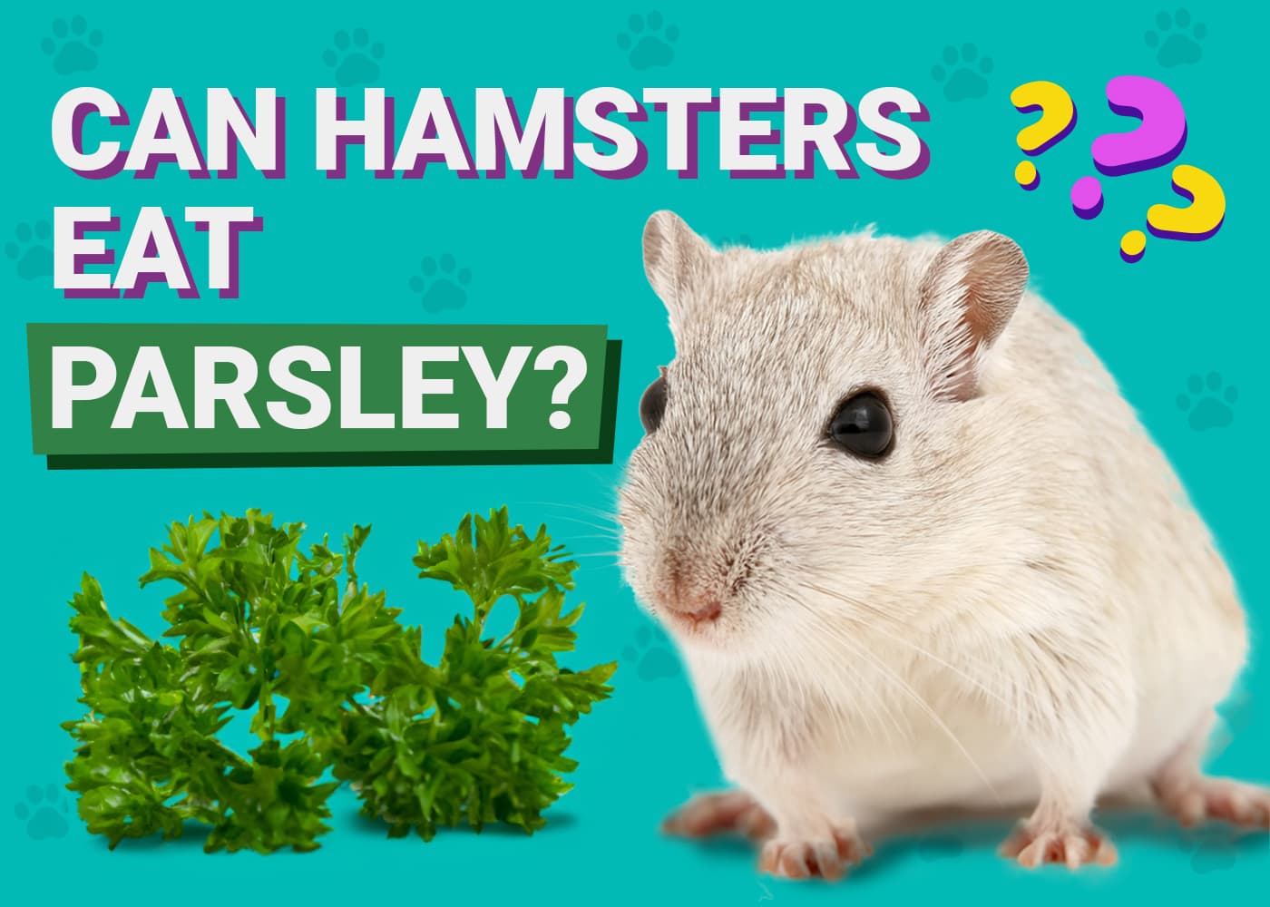 Can Hamsters Eat Parsley