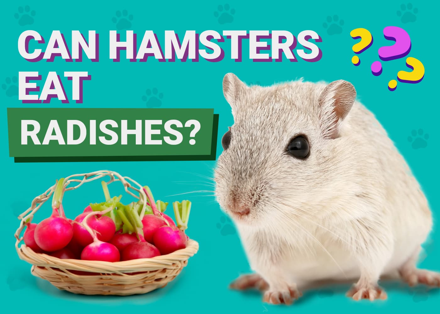 Can Hamsters Eat Radishes