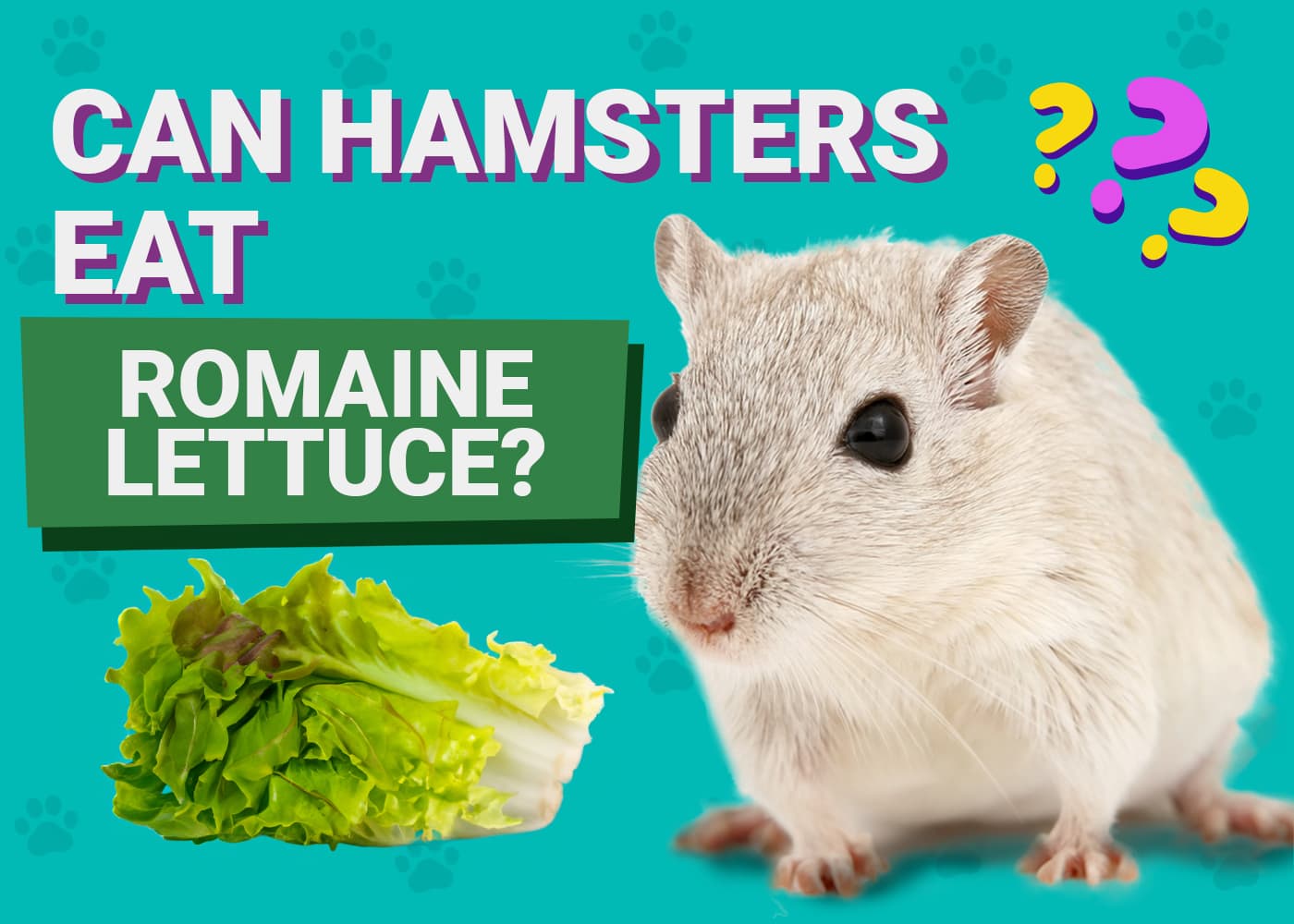 Can Hamsters Eat Romaine Lettuce