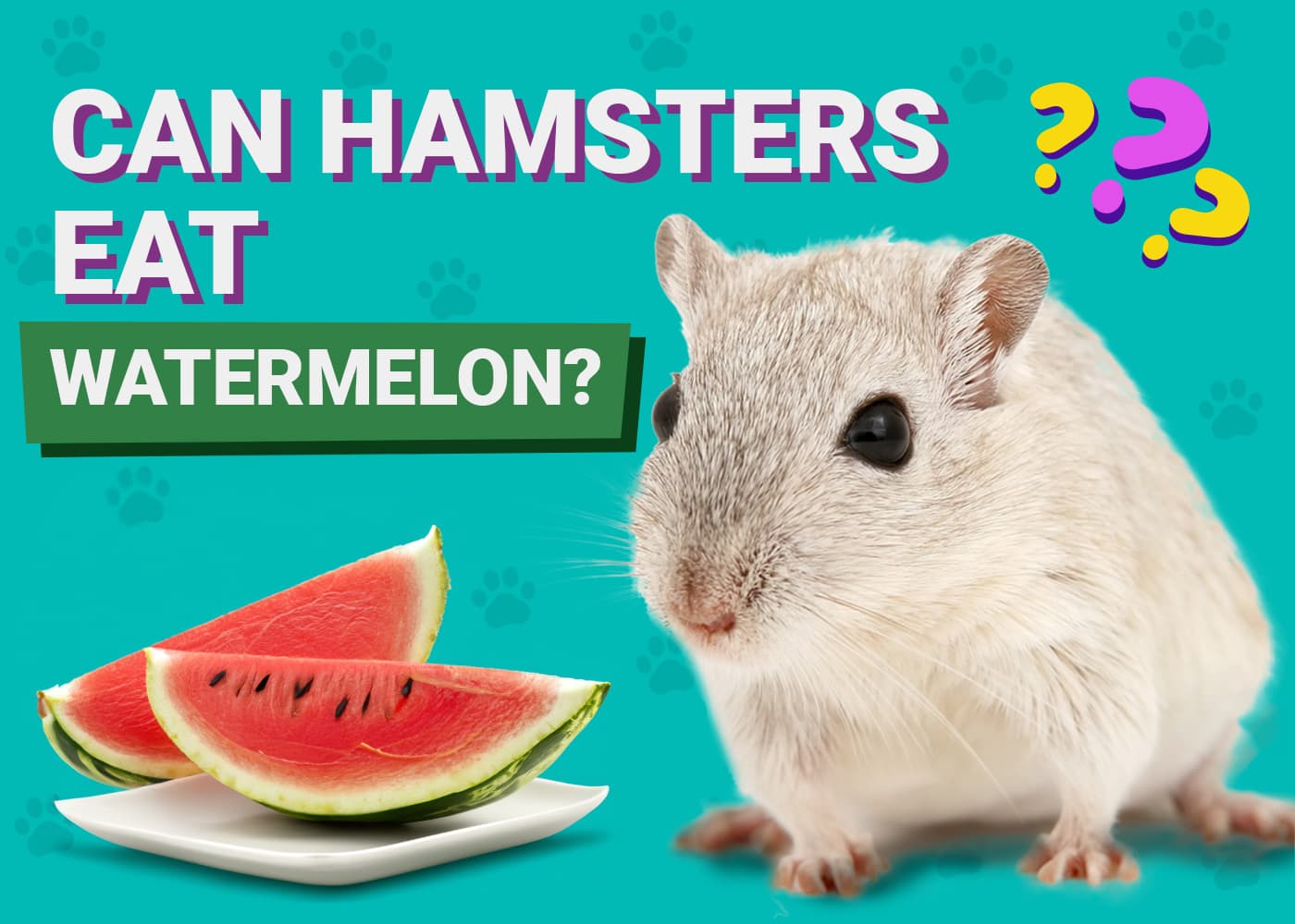 Can Hamsters Eat Watermelon