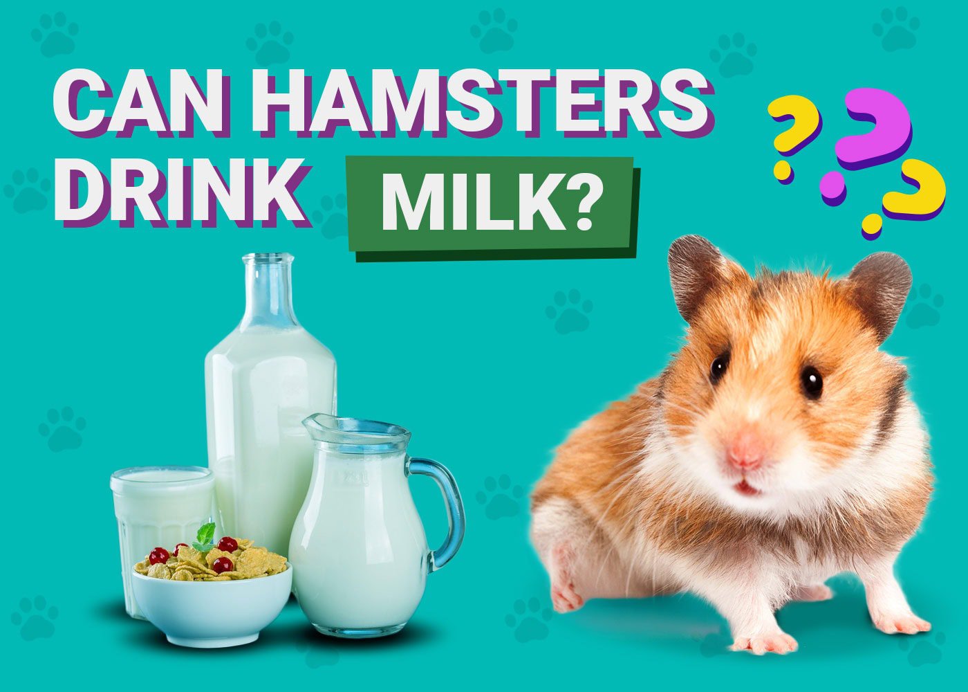 Can Hamsters Drink Milk
