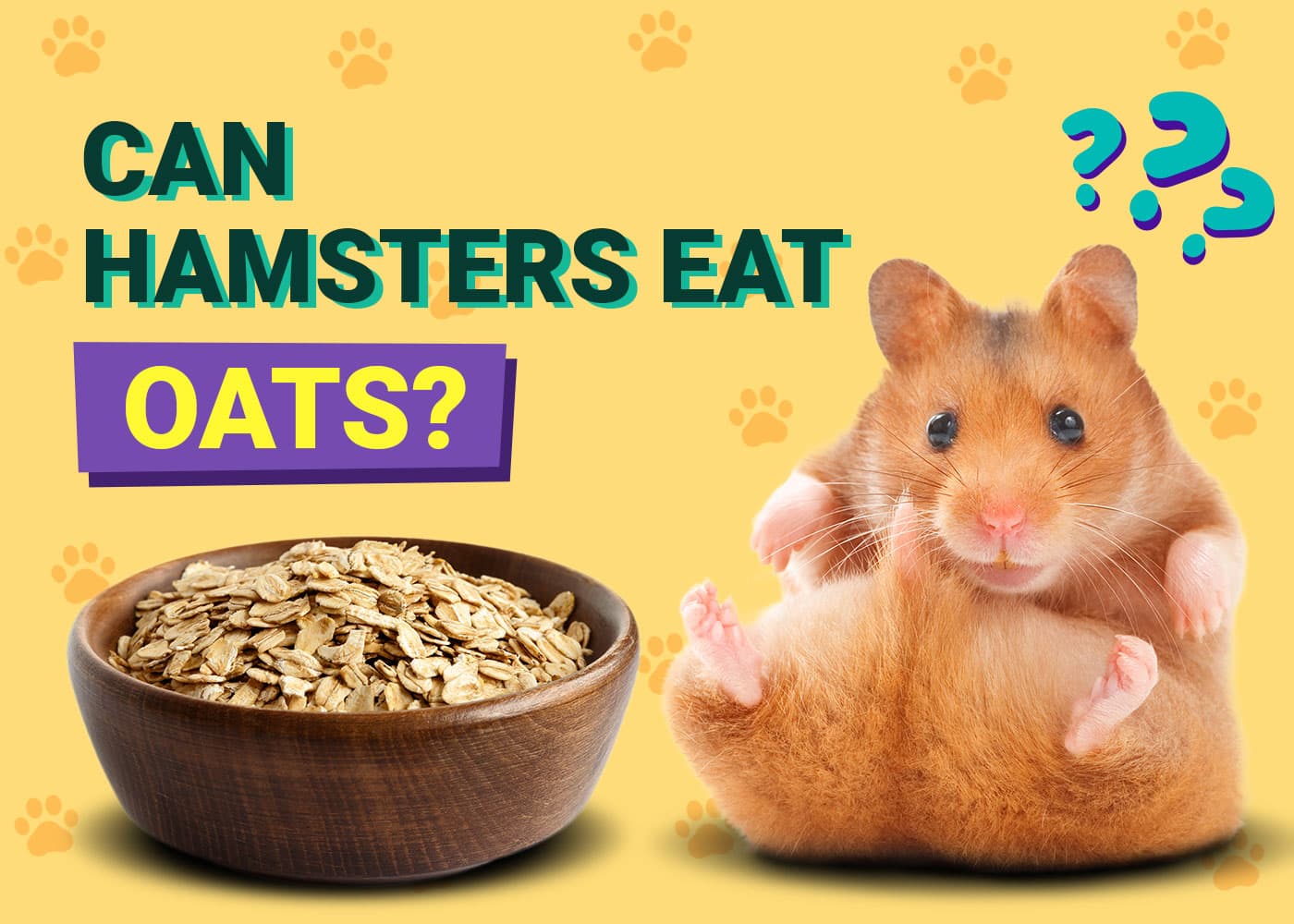 Can Hamsters Eat Oats