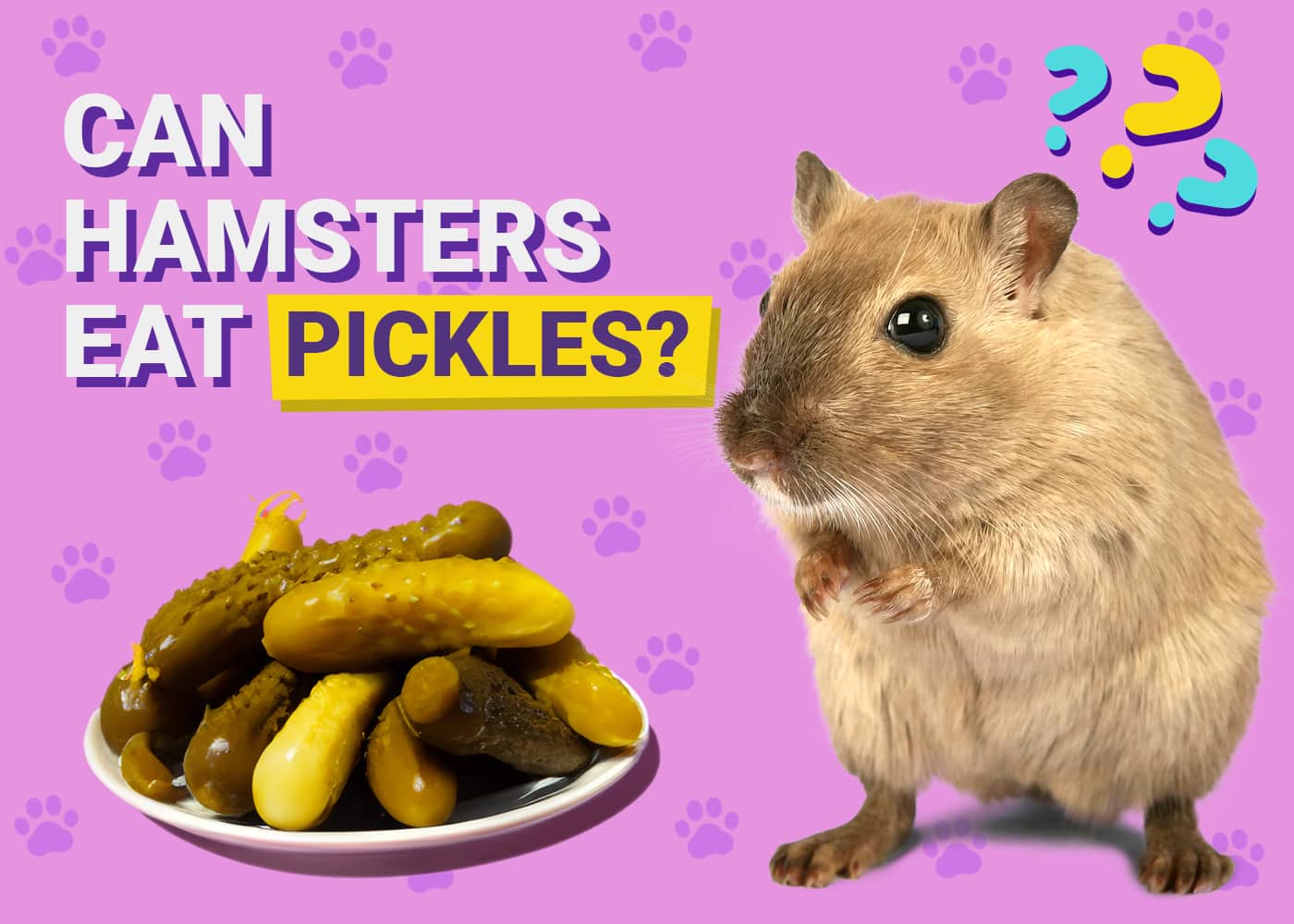 Can Hamsters Eat Pickles