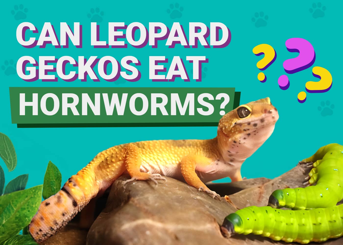 Can Leopard Geckos Eat Hornworms