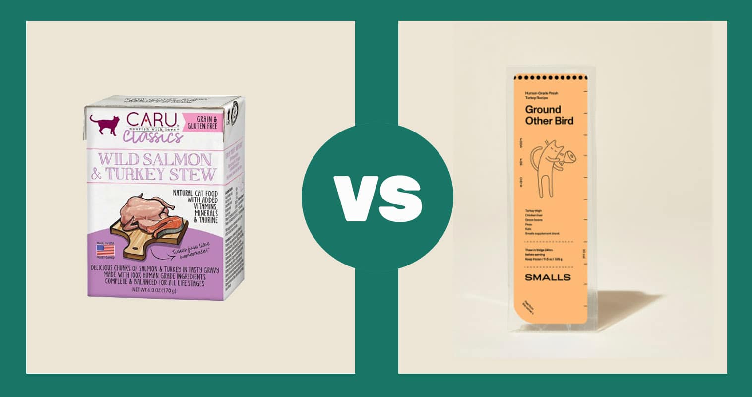 caru vs ground other bird smalls