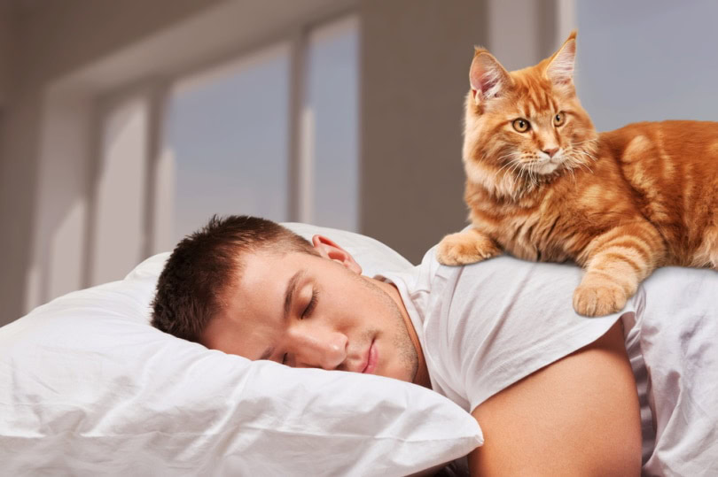 cat and owner in bed