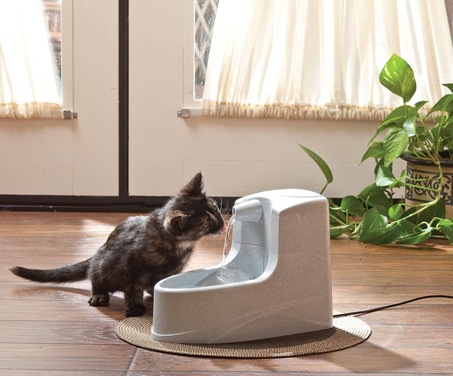 cat driking on PetSafe Drinkwell Mini Pet Fountain