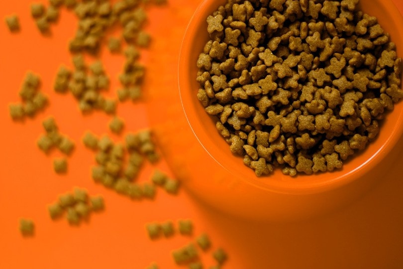 cat food in orange container