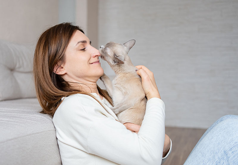 cat licks on the nose of a young man