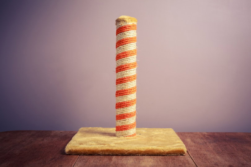cat scratching post