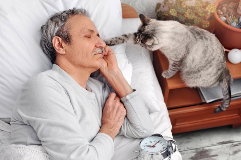 cat waking up his owner