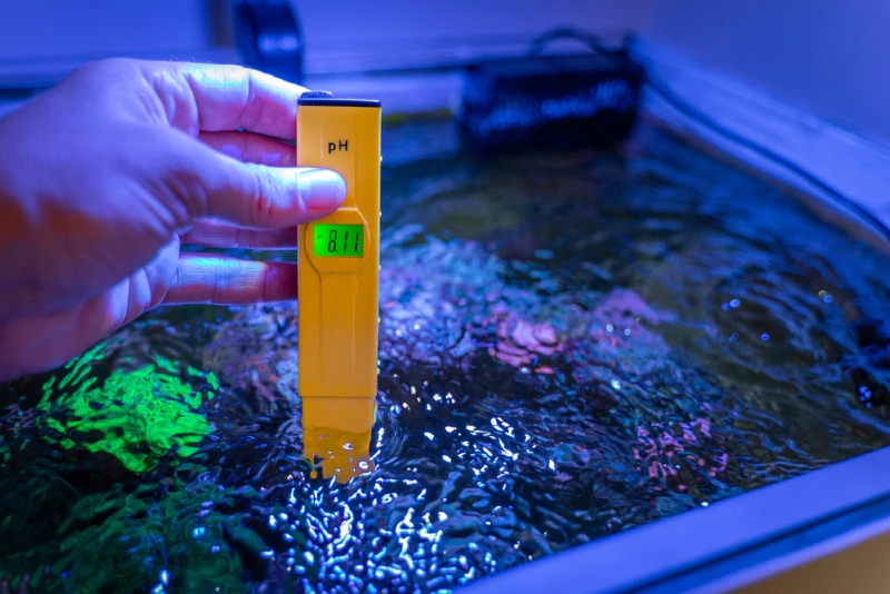 checking PH level of aquarium water