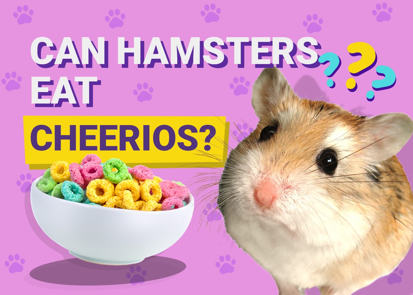 Can Hamsters Eat Cheerios