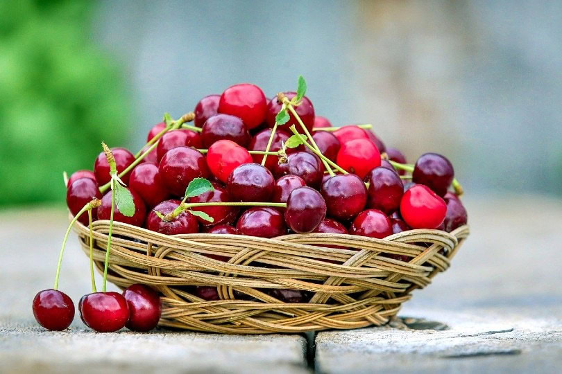 cherries in a basket