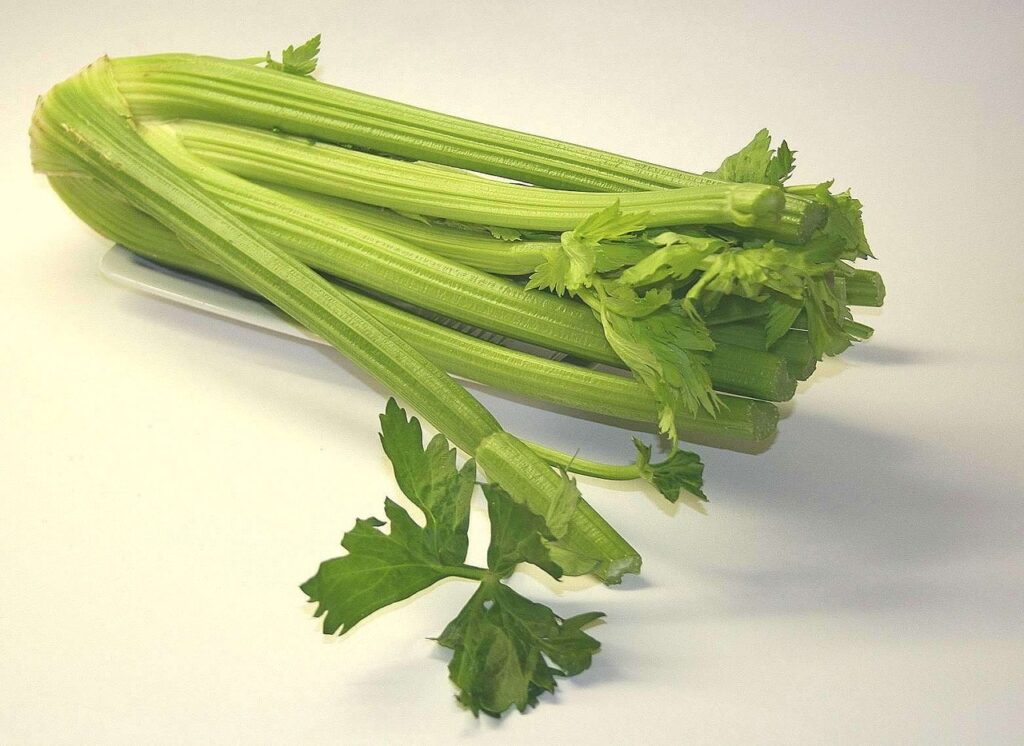chopped celery