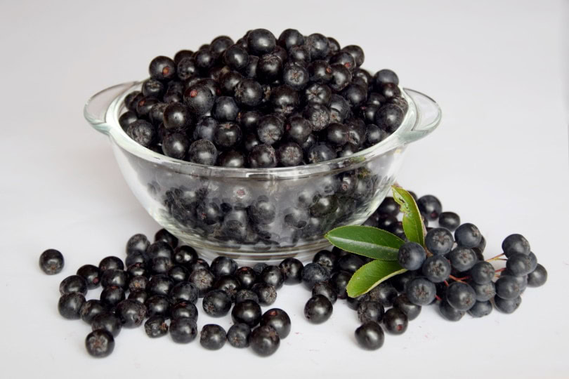 clean blueberries in a bowl