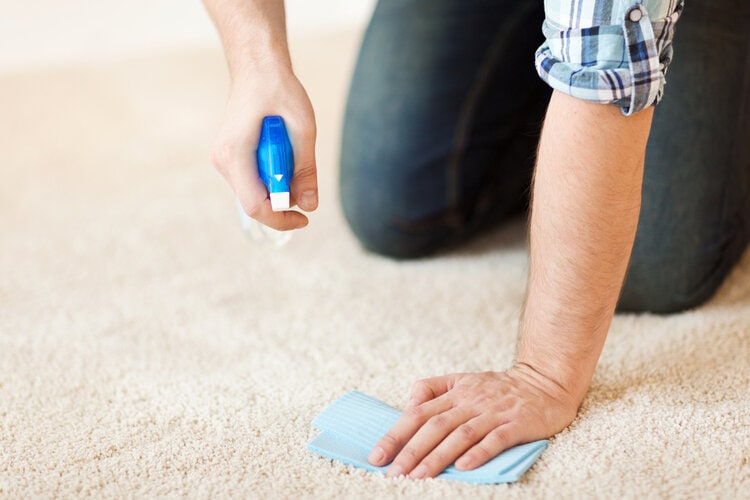 cleaning carpet at home with spray and cloth