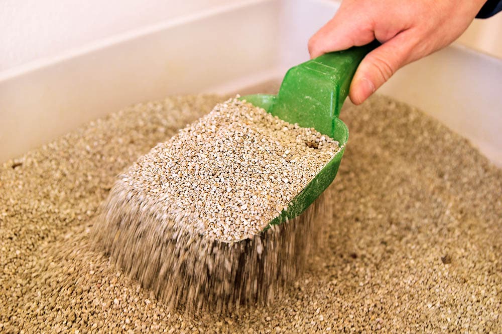 Cleaning cat litter box