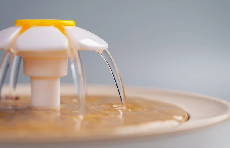 close up of a water fountain spout for dogs, cats, pets