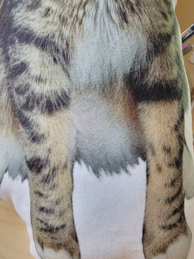 closeup of petsies pillow