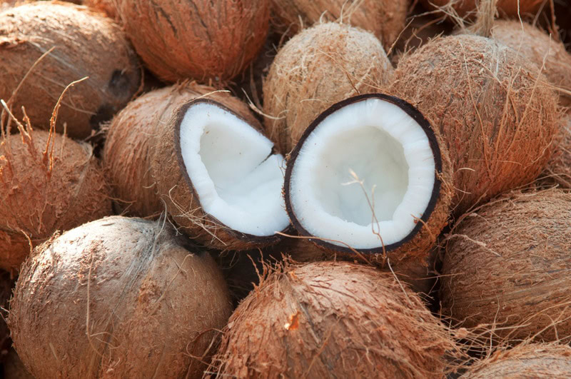 coconut