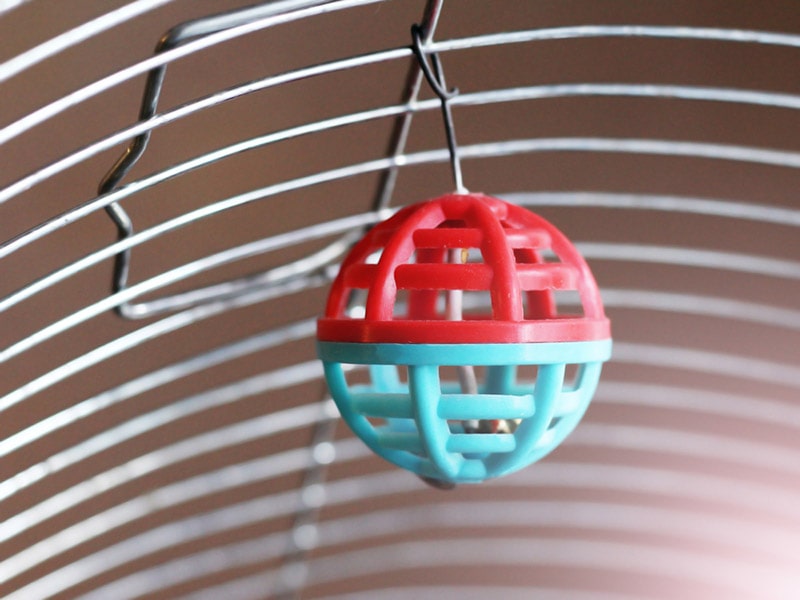 colorful ball in a bird cage