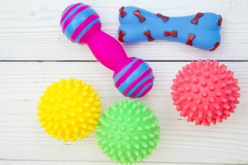 colorful rubber squeaky toys