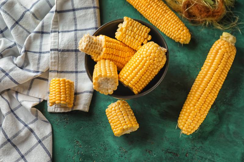 composition with fresh corn cobs on table