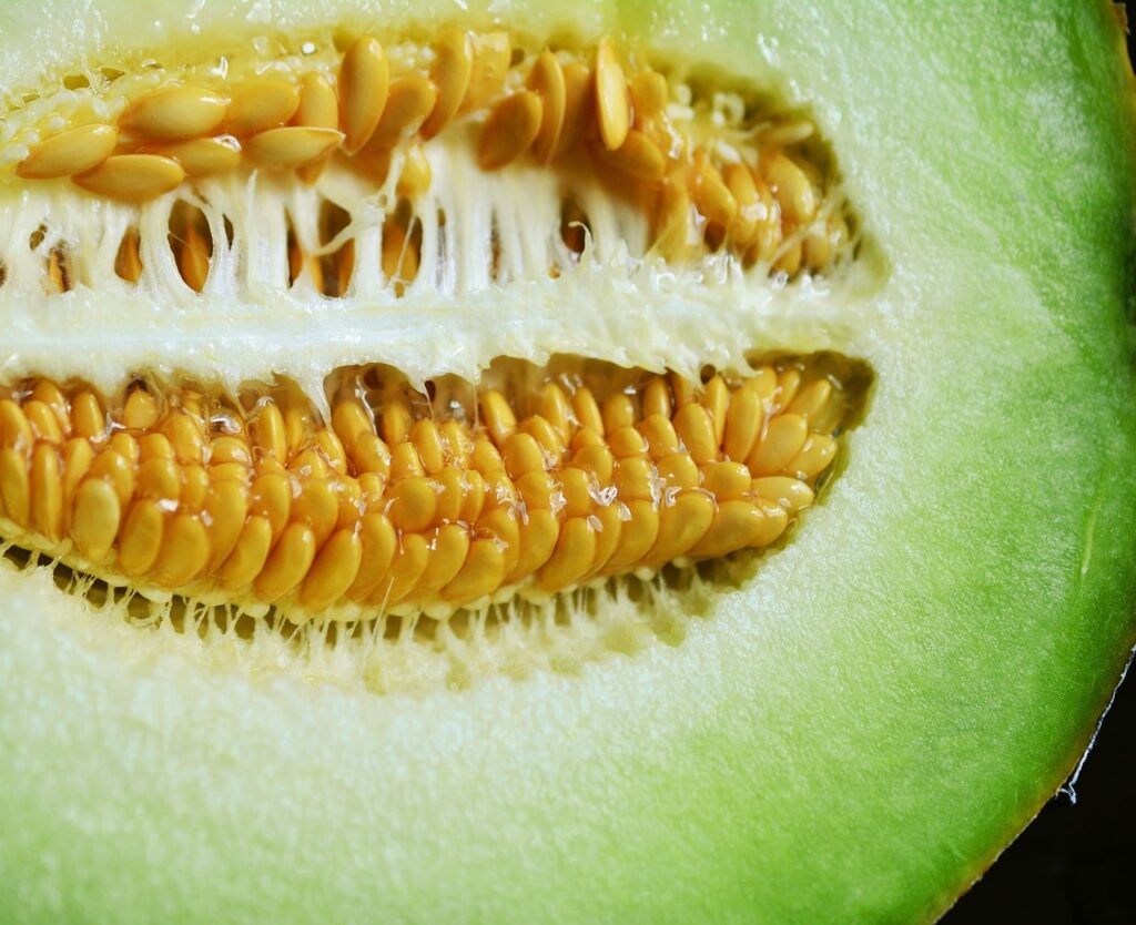 cantaloupe core